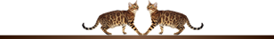 Adelhills Bengal Cats
